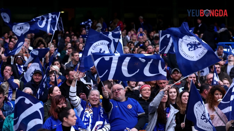 Fan Chelsea được gọi là The Blues
