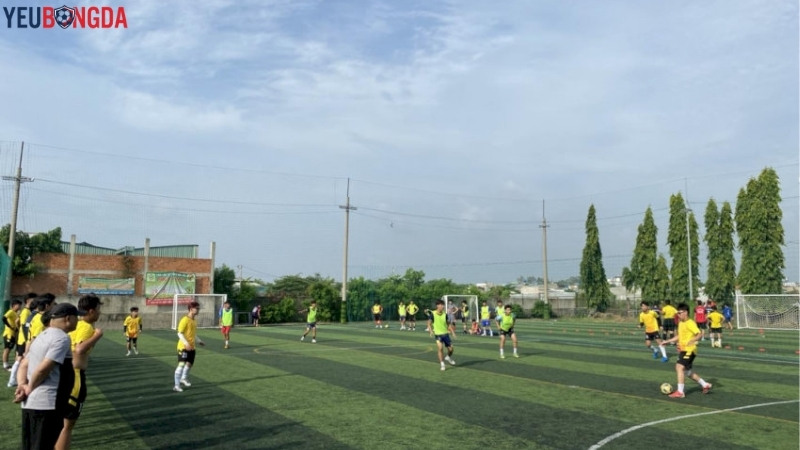 Sân banh phủi Chill Bình Tân